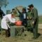 Ataque dos Tomates Assassinos | Attack of the Killer Tomatoes! (1978)