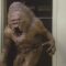 O Monstro do Armário | Monster In The Closet (1986)